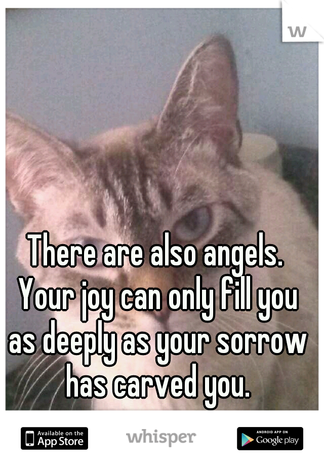 There are also angels. Your joy can only fill you as deeply as your sorrow has carved you.