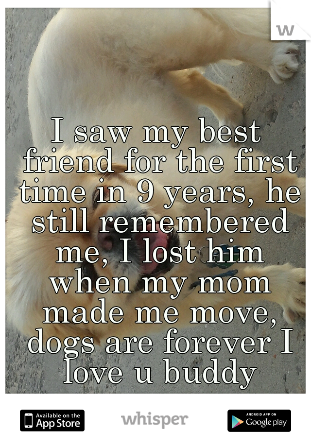 I saw my best friend for the first time in 9 years, he still remembered me, I lost him when my mom made me move, dogs are forever I love u buddy