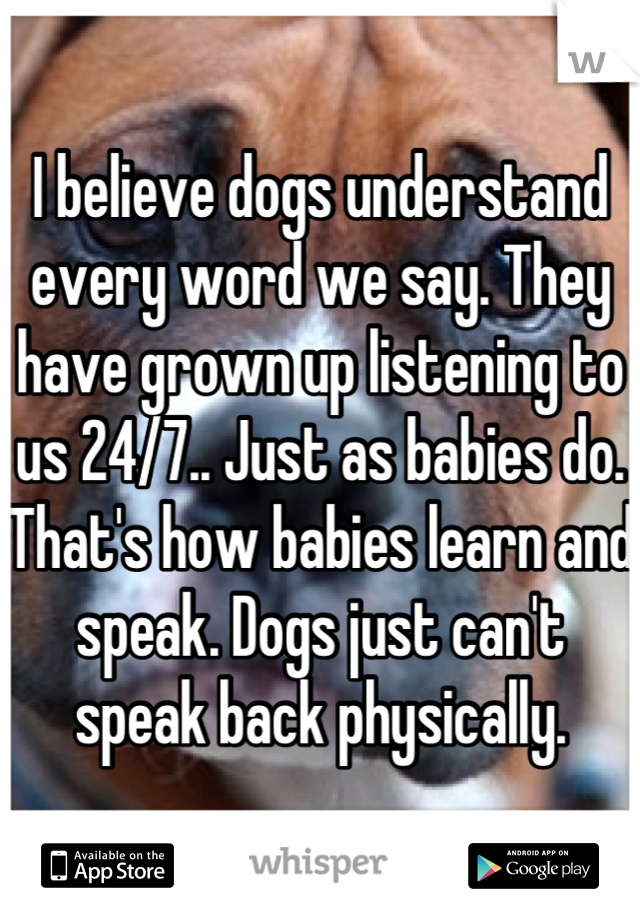 I believe dogs understand every word we say. They have grown up listening to us 24/7.. Just as babies do. That's how babies learn and speak. Dogs just can't speak back physically.