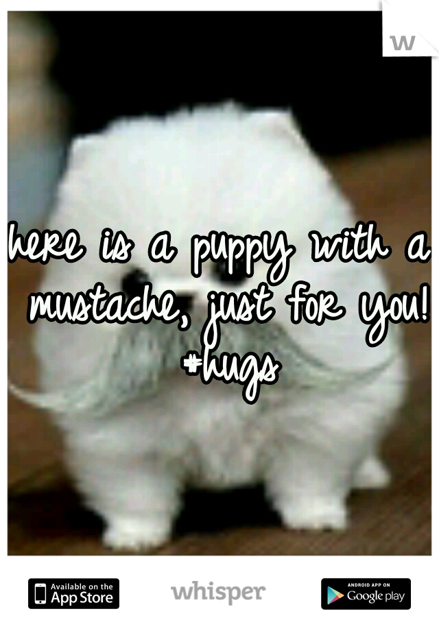 here is a puppy with a mustache, just for you! #hugs