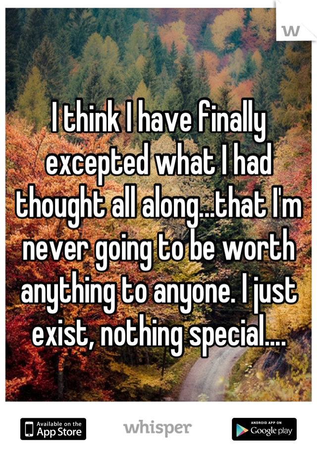 I think I have finally excepted what I had thought all along...that I'm never going to be worth anything to anyone. I just exist, nothing special....