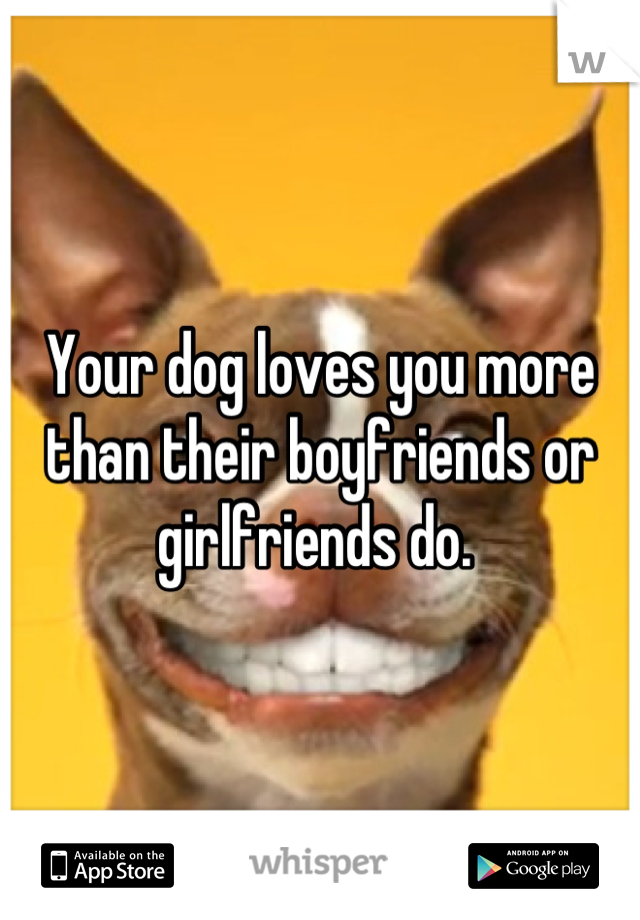Your dog loves you more than their boyfriends or girlfriends do. 