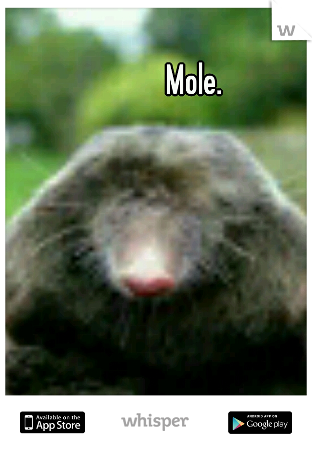 Mole. 