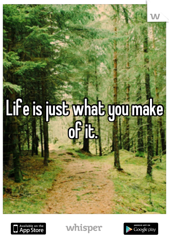 Life is just what you make of it. 
