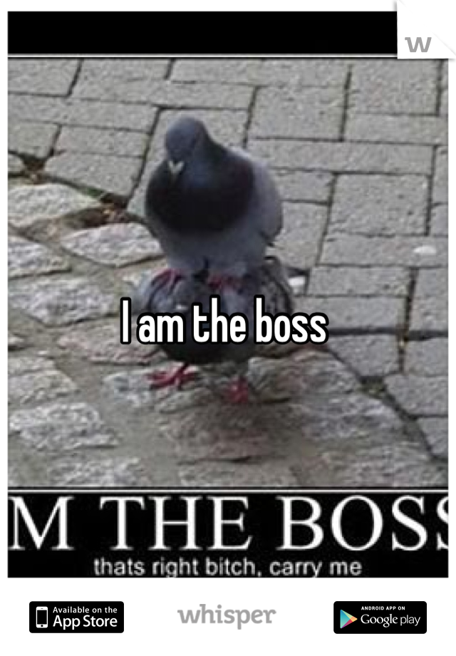 I am the boss 