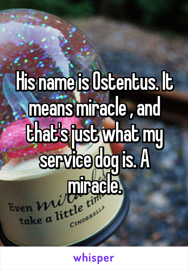 His name is Ostentus. It means miracle , and that's just what my service dog is. A miracle.
