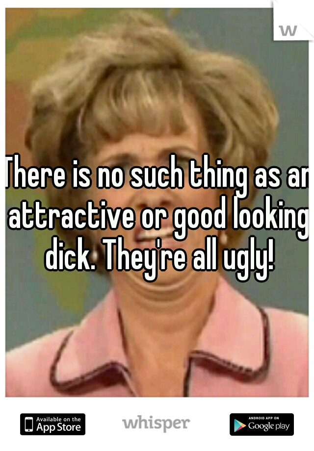 There is no such thing as an attractive or good looking dick. They're all ugly!