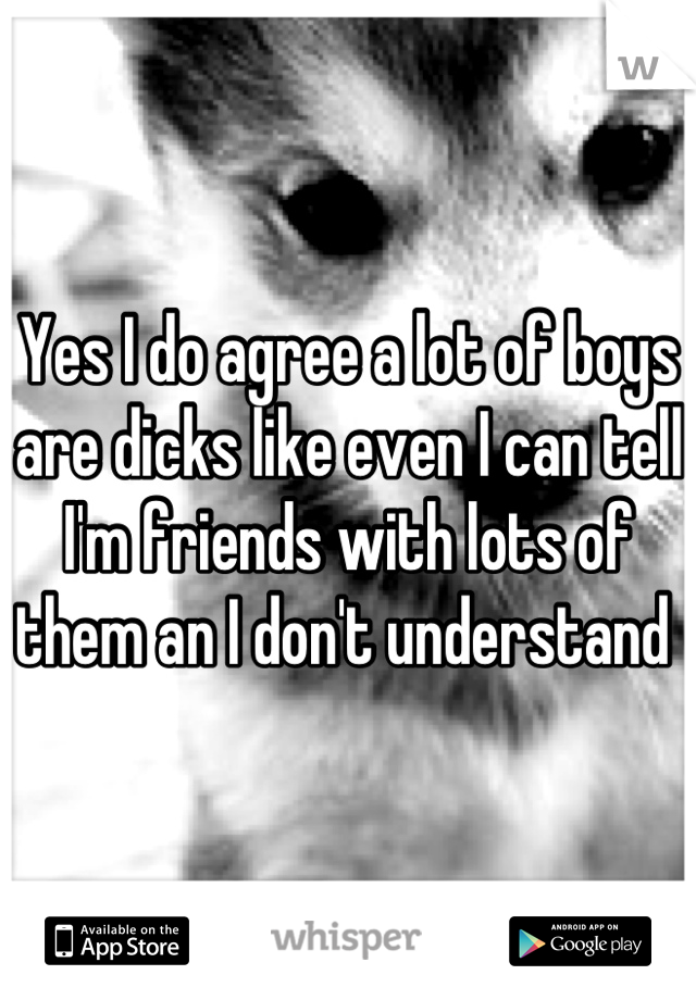 Yes I do agree a lot of boys are dicks like even I can tell I'm friends with lots of them an I don't understand 