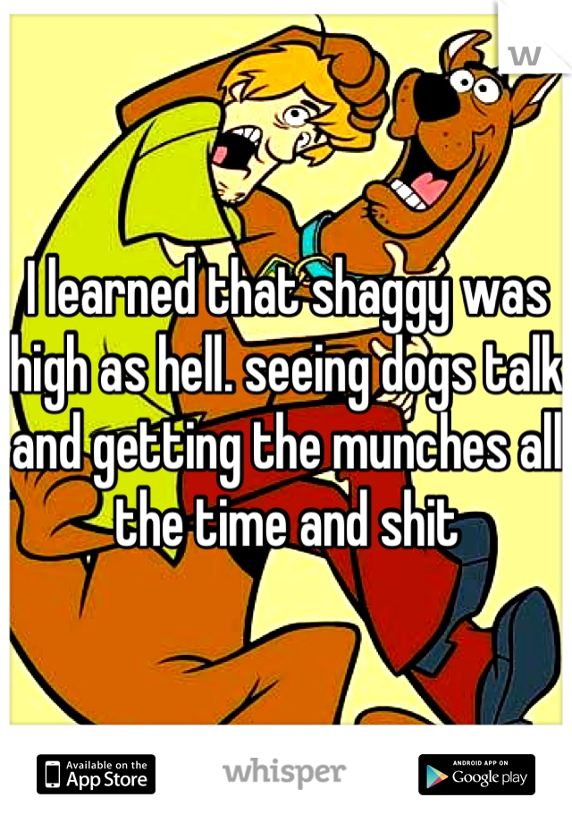 I learned that shaggy was high as hell. seeing dogs talk and getting the munches all the time and shit