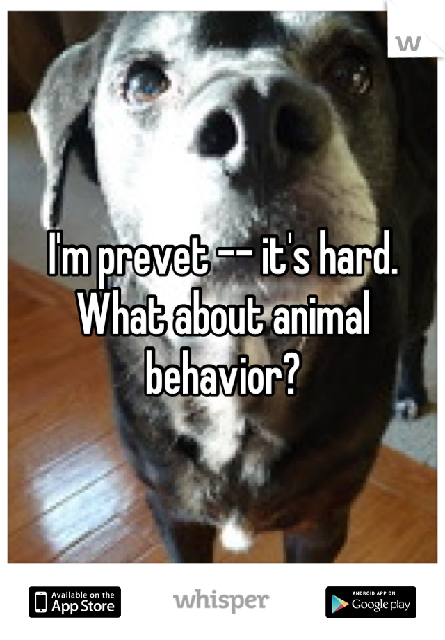 I'm prevet -- it's hard. What about animal behavior?