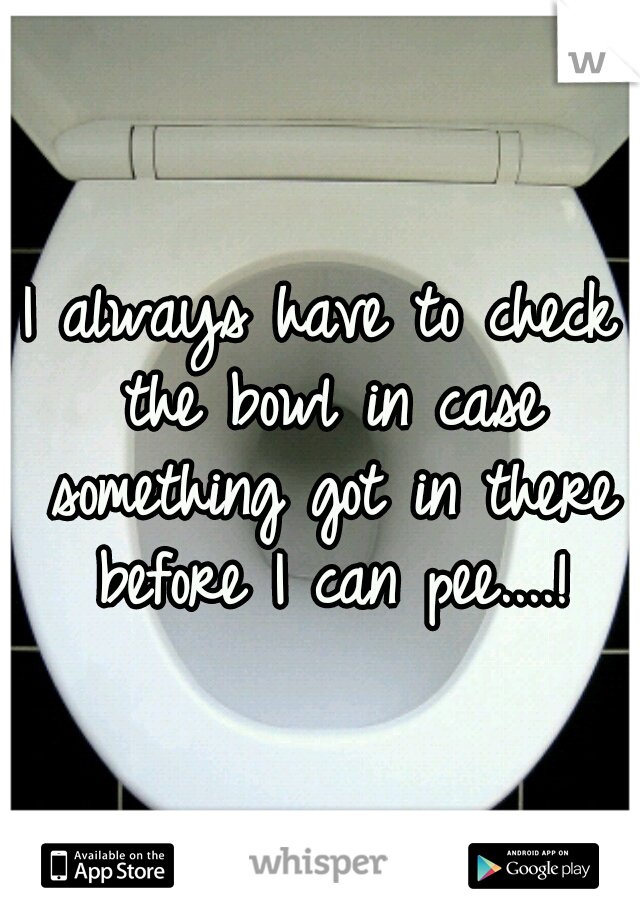 I always have to check the bowl in case something got in there before I can pee....!