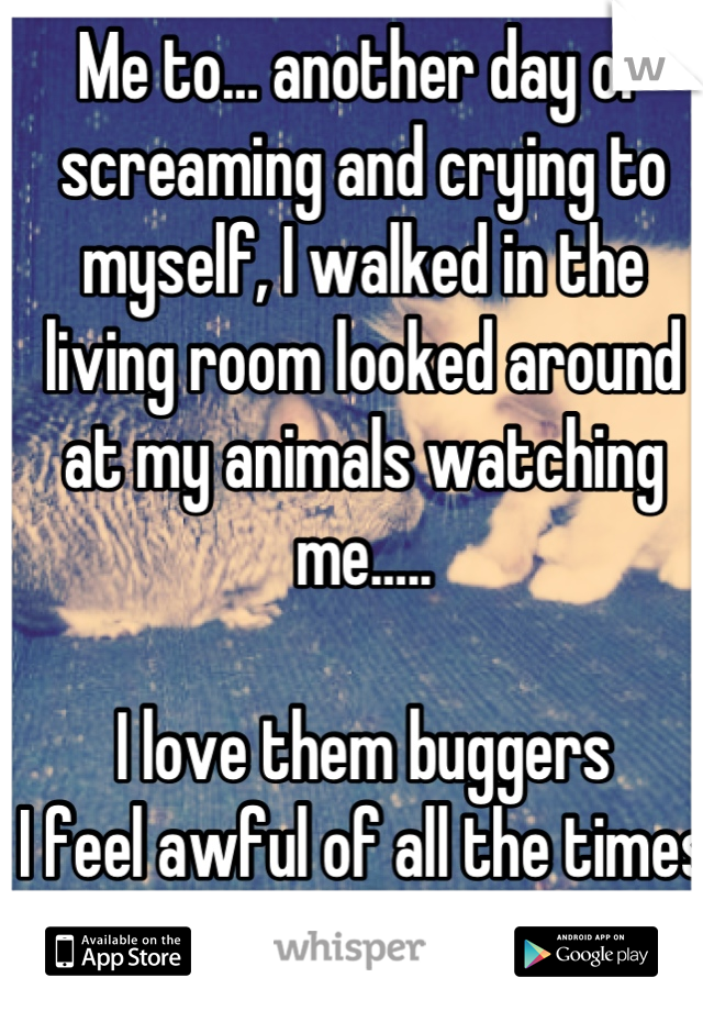 Me to… another day of screaming and crying to myself, I walked in the living room looked around at my animals watching me…..

I love them buggers
I feel awful of all the times they heard me