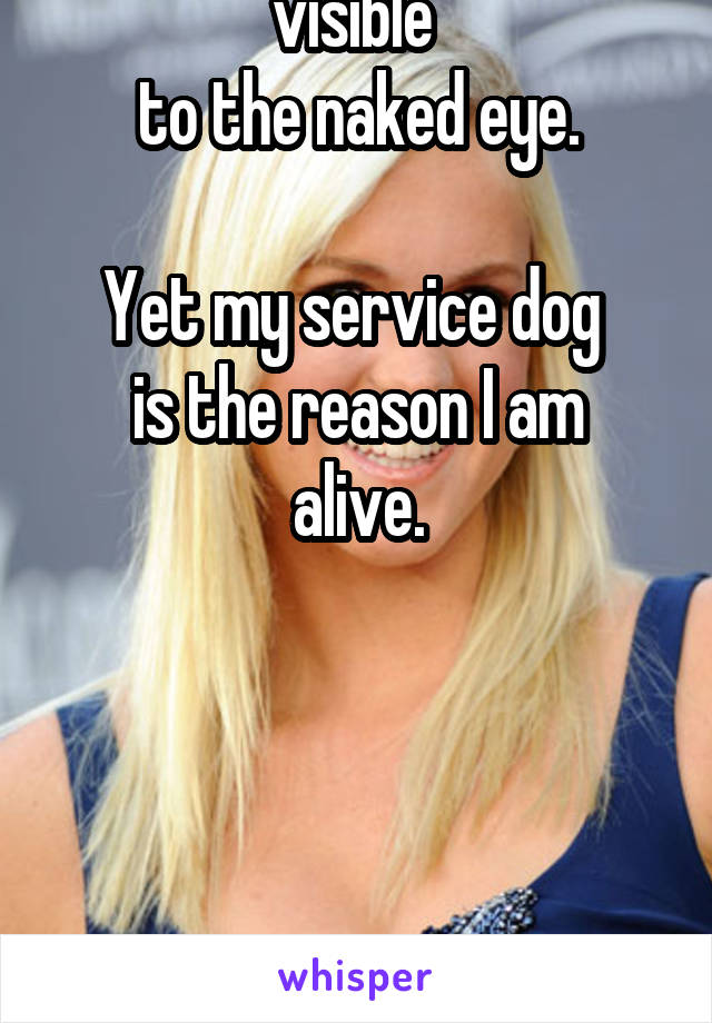 My disability is not visible 
to the naked eye.

Yet my service dog 
is the reason I am alive.

 



