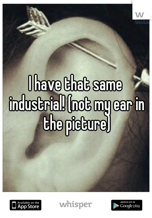 I have that same industrial! (not my ear in the picture)