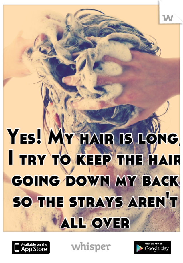 Yes! My hair is long, I try to keep the hair going down my back so the strays aren't all over