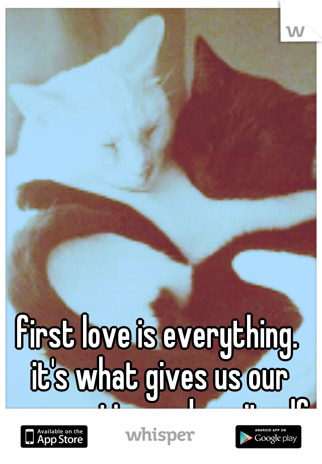 first love is everything. it's what gives us our perspective on love itself. 