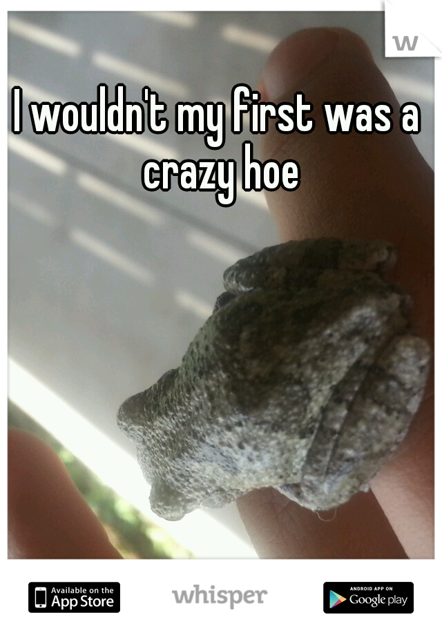 I wouldn't my first was a crazy hoe