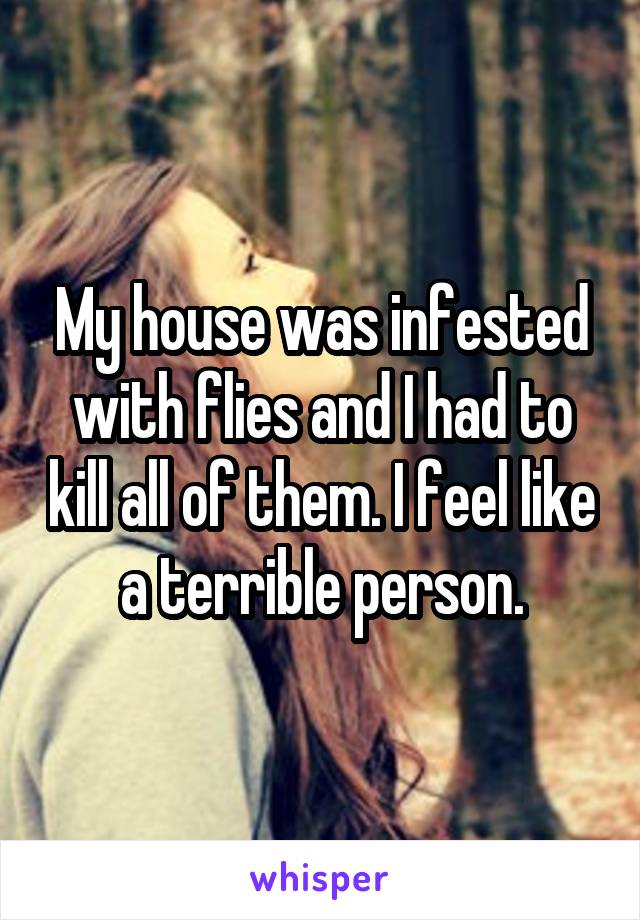My house was infested with flies and I had to kill all of them. I feel like a terrible person.