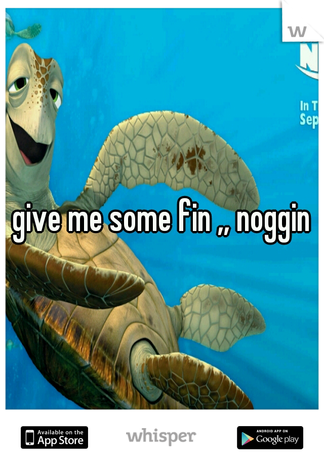 give me some fin ,, noggin