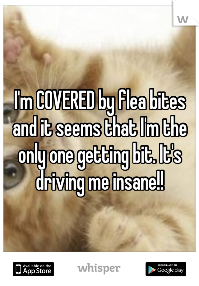 I'm COVERED by flea bites and it seems that I'm the only one getting bit. It's driving me insane!!