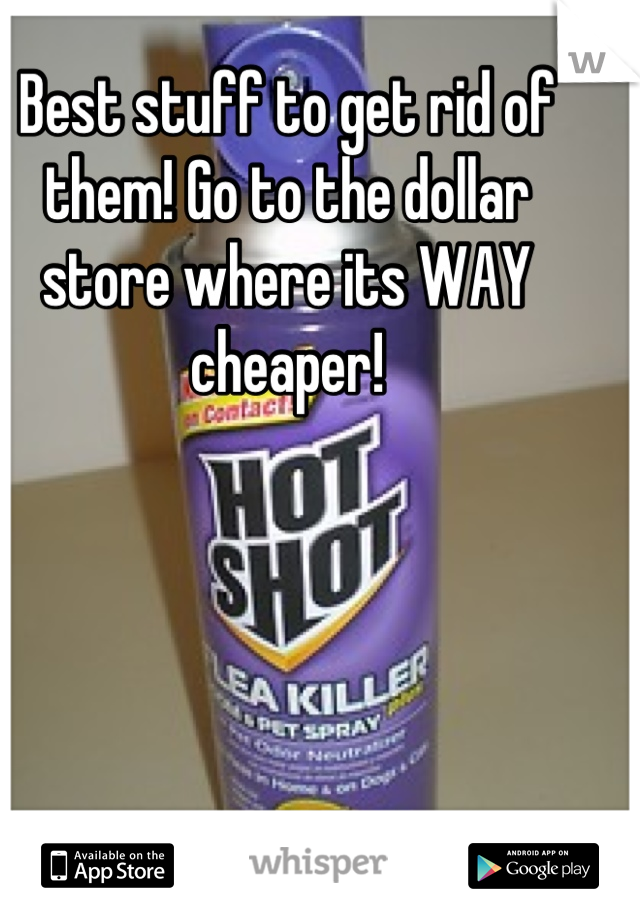 Best stuff to get rid of them! Go to the dollar store where its WAY cheaper!