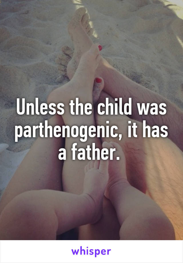 Unless the child was parthenogenic, it has a father. 