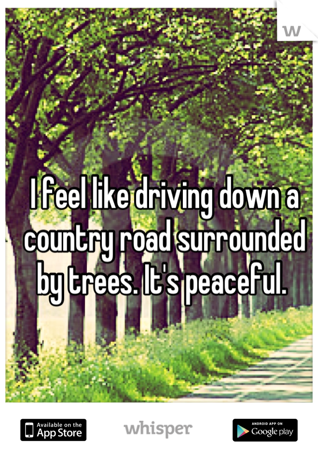 I feel like driving down a country road surrounded by trees. It's peaceful. 