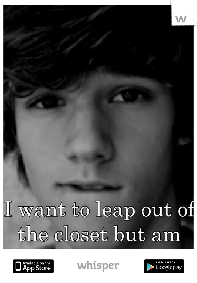 I want to leap out of the closet but am far too afraid. 