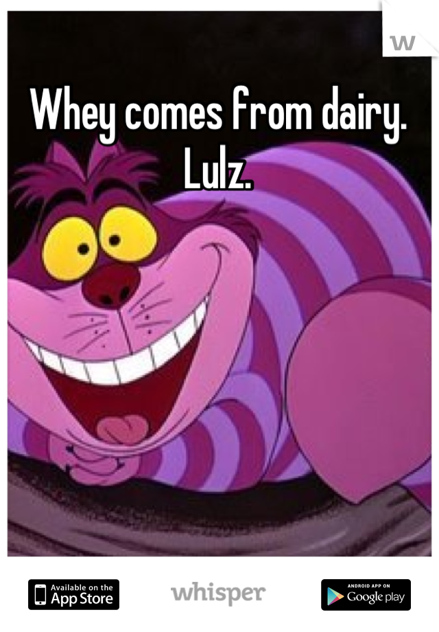 Whey comes from dairy. Lulz.