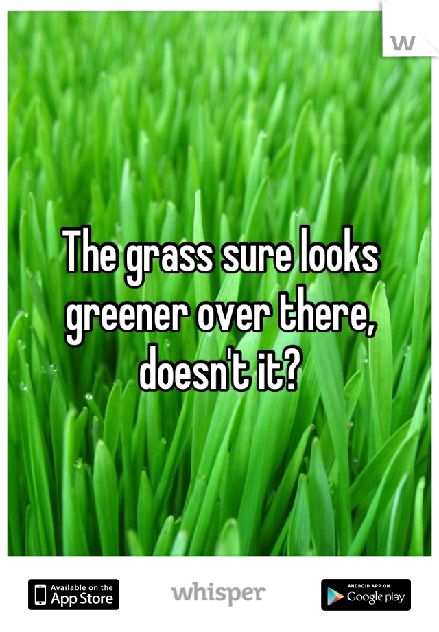 The grass sure looks greener over there, doesn't it?