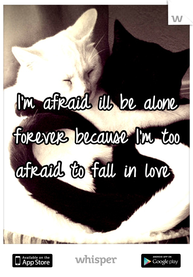 I'm afraid ill be alone forever because I'm too afraid to fall in love 