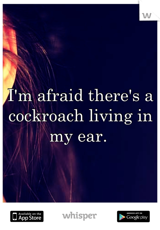I'm afraid there's a cockroach living in my ear. 