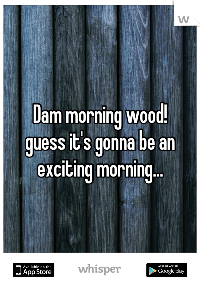 Dam morning wood!
guess it's gonna be an exciting morning...