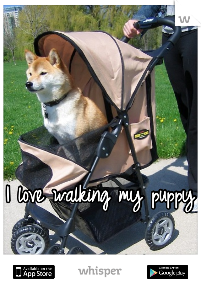 I love walking my puppy

:) he's my baby