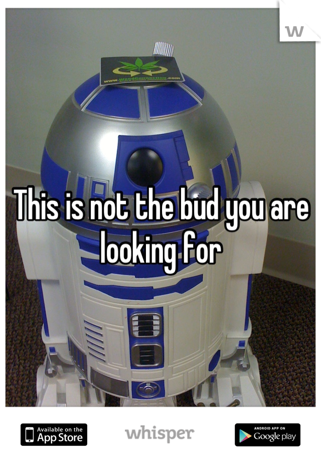 This is not the bud you are looking for
