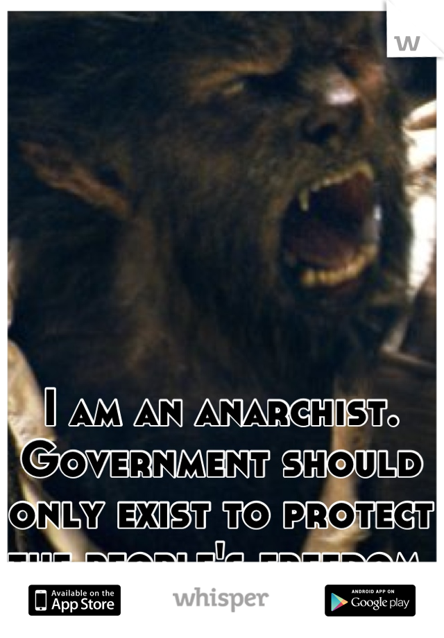 I am an anarchist. 
Government should only exist to protect the people's freedom. 