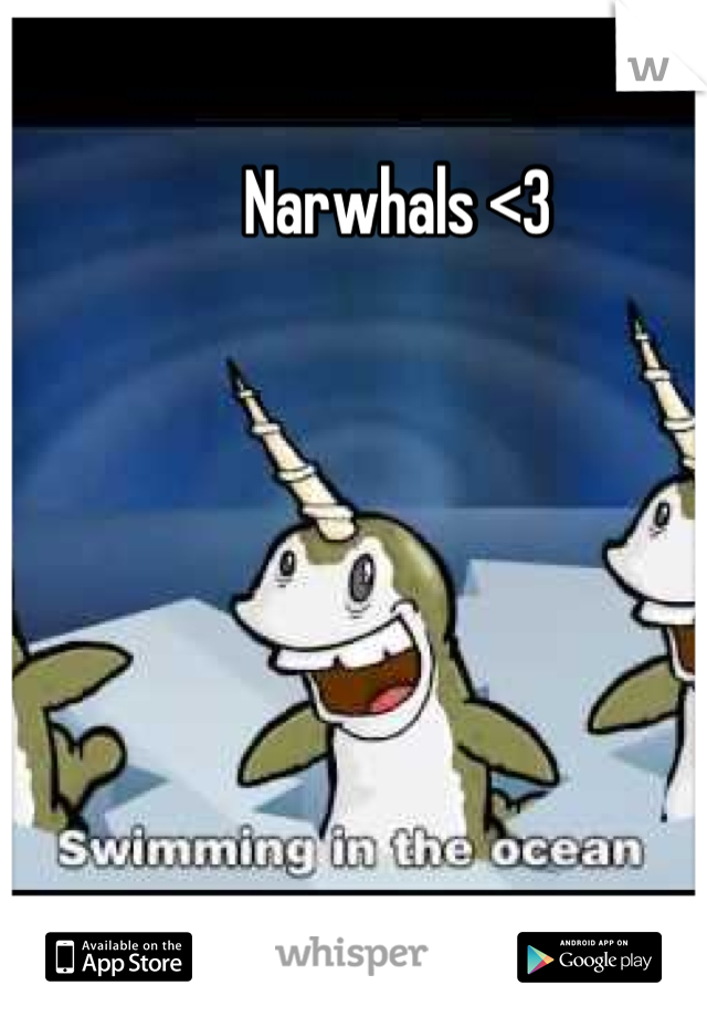 Narwhals <3