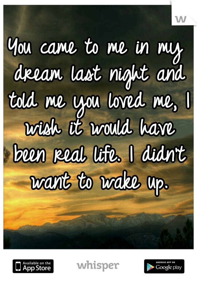 You came to me in my dream last night and told me you loved me, I wish it would have been real life. I didn't want to wake up.