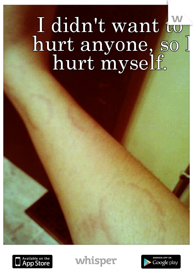 I didn't want to hurt anyone, so I hurt myself. 