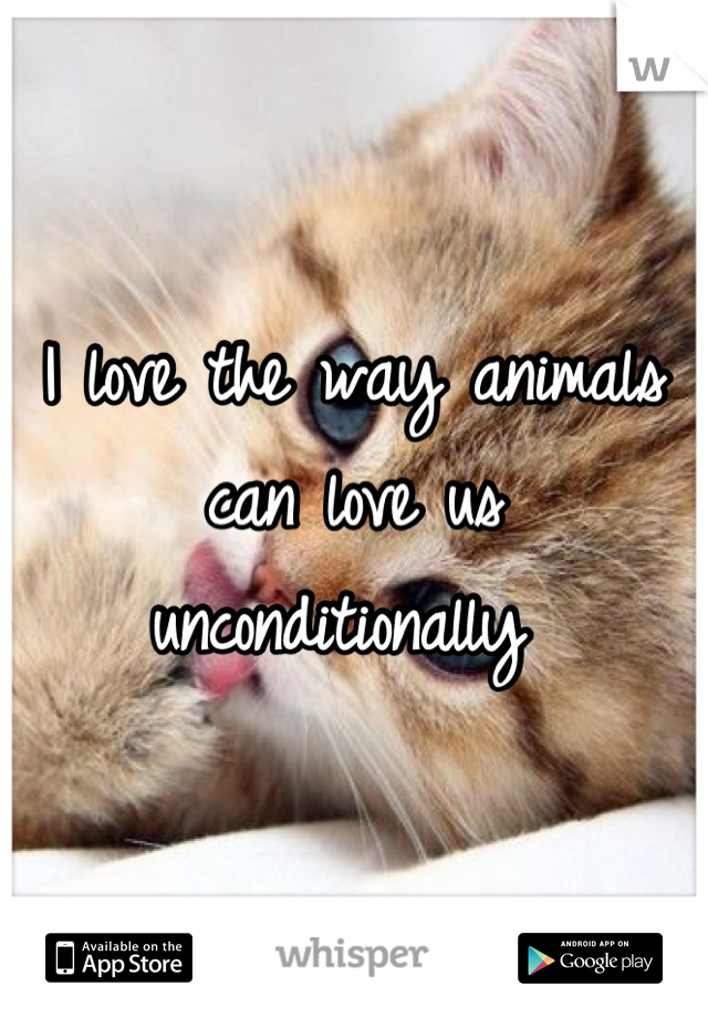 I love the way animals can love us unconditionally 