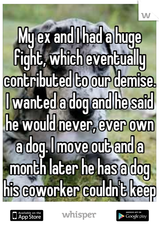 My ex and I had a huge fight, which eventually contributed to our demise. I wanted a dog and he said he would never, ever own a dog. I move out and a month later he has a dog his coworker couldn't keep