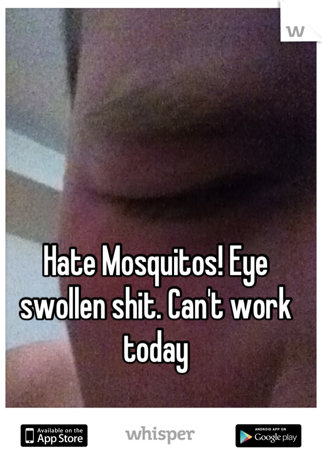 Hate Mosquitos! Eye swollen shit. Can't work today
