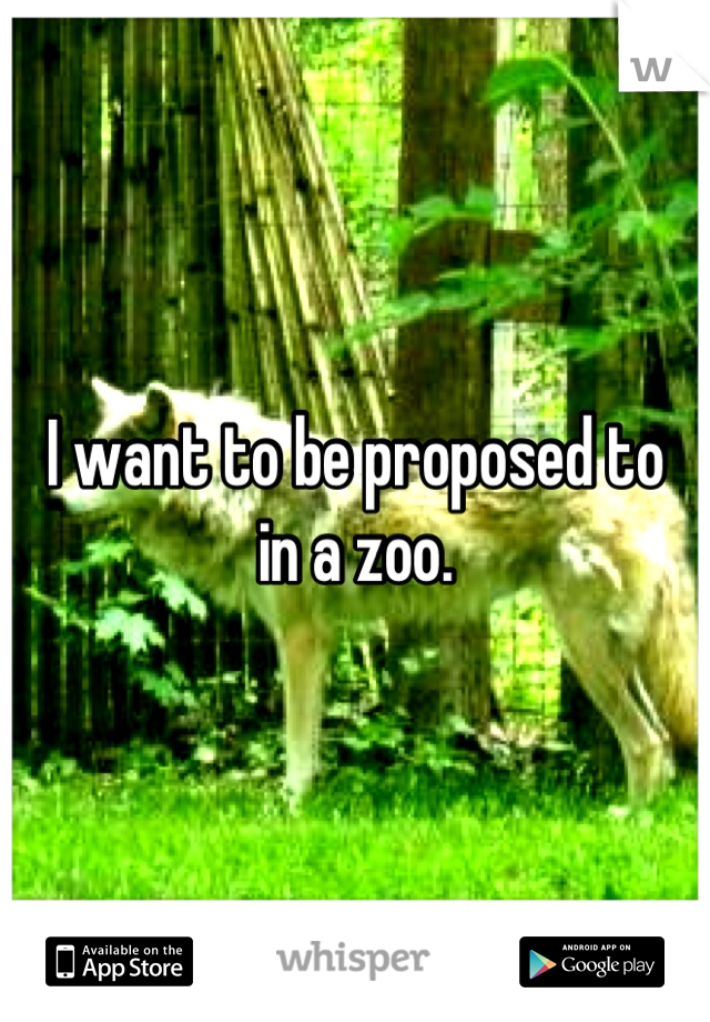 I want to be proposed to
in a zoo.
