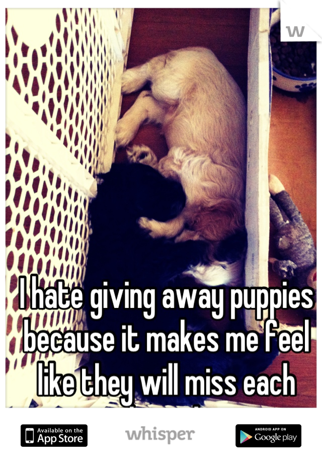 I hate giving away puppies because it makes me feel like they will miss each other a lot.
