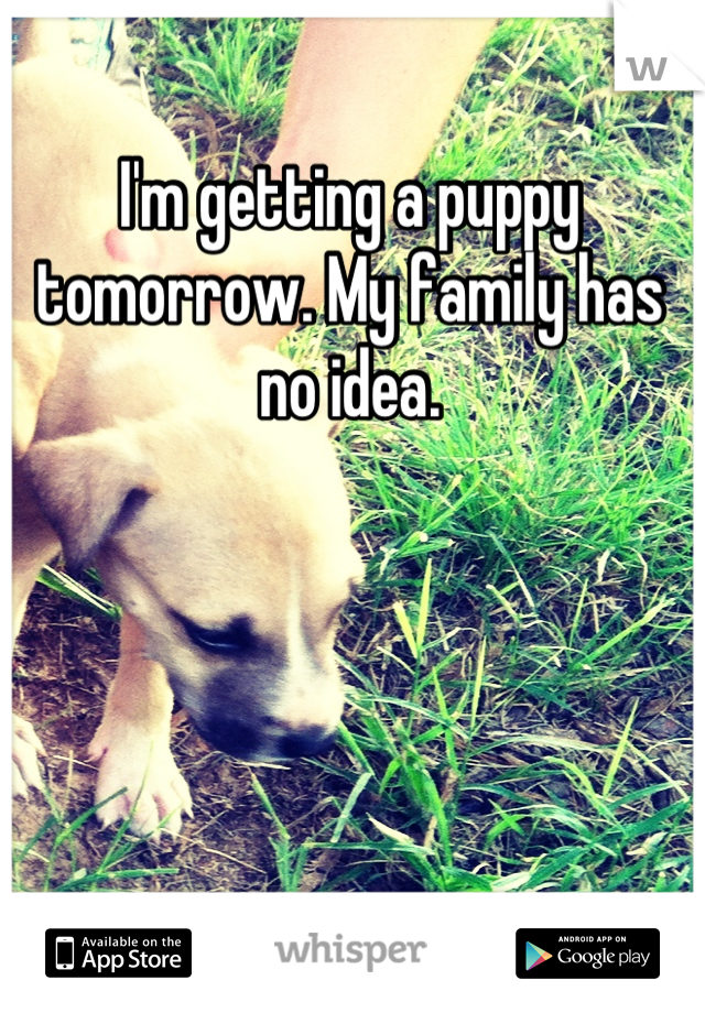 I'm getting a puppy tomorrow. My family has no idea.