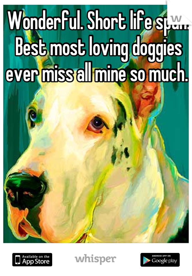 Wonderful. Short life span. Best most loving doggies ever miss all mine so much. 