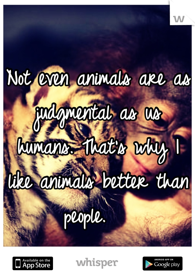 Not even animals are as judgmental as us humans. That's why I like animals better than people.   