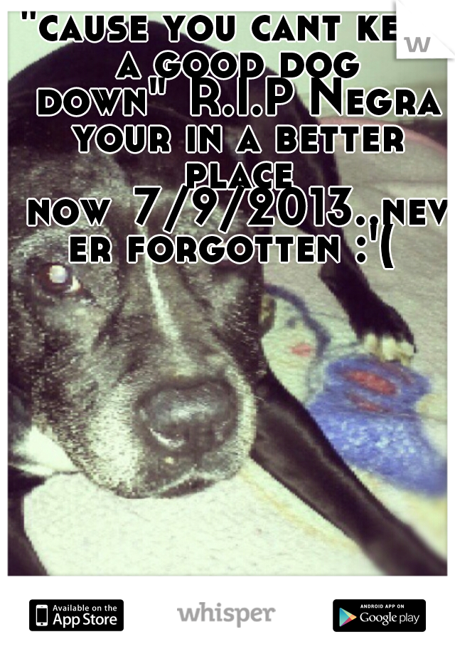 "cause you cant keep a good dog down"
R.I.P Negra your in a better place now
7/9/2013..never forgotten :'(