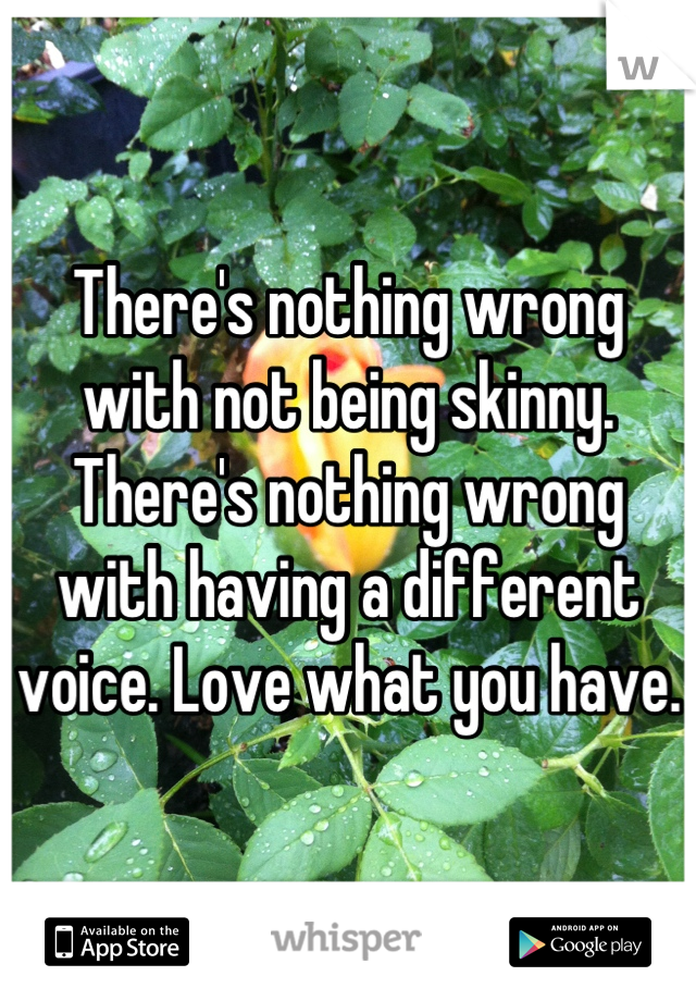 There's nothing wrong with not being skinny. There's nothing wrong with having a different voice. Love what you have. 