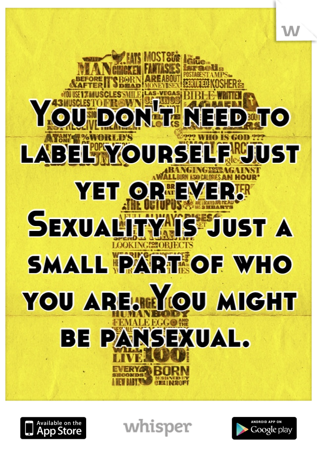 You don't need to label yourself just yet or ever. Sexuality is just a small part of who you are. You might be pansexual. 